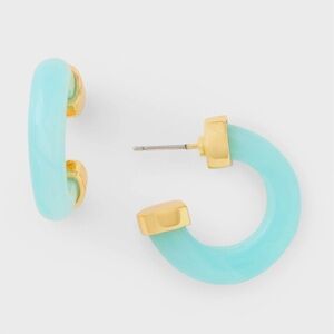 Talbots Resin Acrylic Hoop Earrings